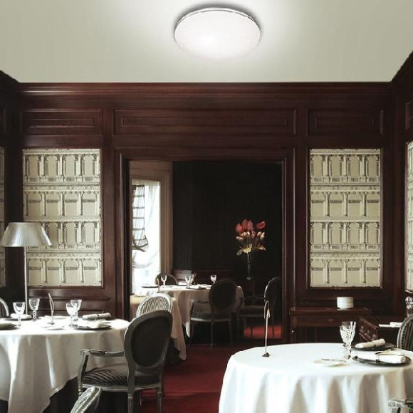 Потолочный светильник Leka 2051/ML