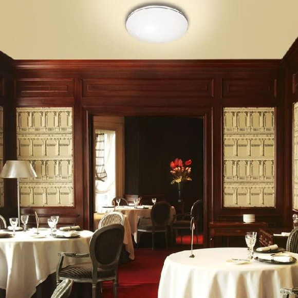 Потолочный светильник Leka 2051/ML