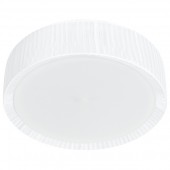 Потолочный светильник Alehandro 5288