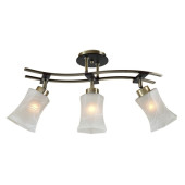 Потолочная люстра Мерида CL142133