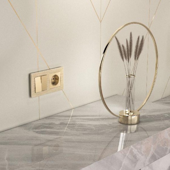 Розетка Встраиваемые механизмы шампань WL11-SKG-01-IP20