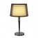 Интерьерная настольная лампа Bishade 155651