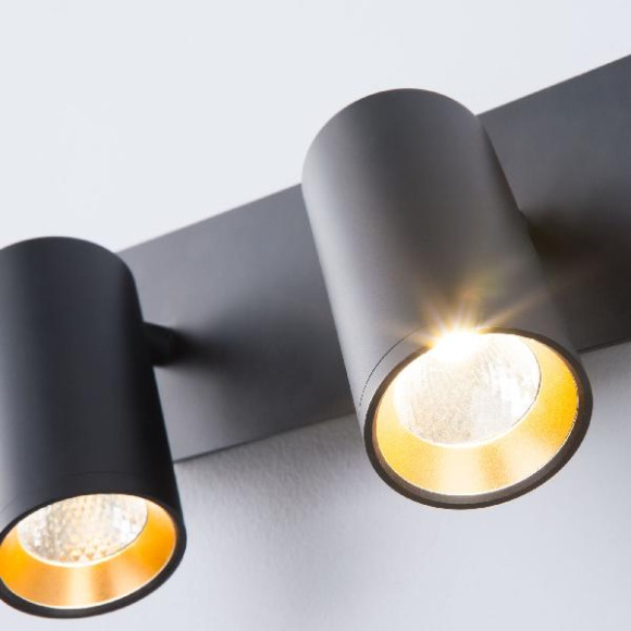 Спот Fleur 20066/2 LED черный/золото Спот Fleur 20066/2 LED черный/золото