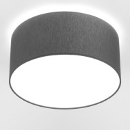 Потолочный светильник Cameron 9687 Потолочный светильник Cameron 9687