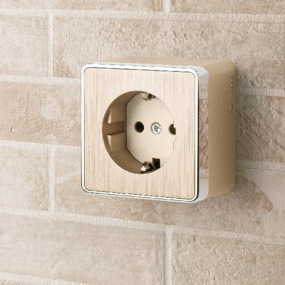 Розетка Накладные механизмы Gallant шампань рифленый WL15-02-01