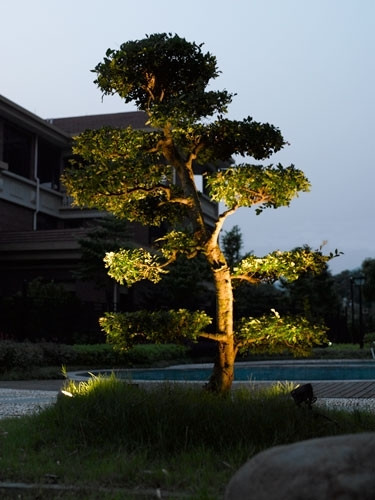 Грунтовый светильник  W77169