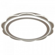 Потолочный светильник  0894 Потолочный светильник  0894