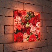 Лайтбокс Цветы 25-25-d-097