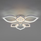 Потолочная люстра Garden 90228/6 белый