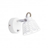 Спот Орегон CL508510