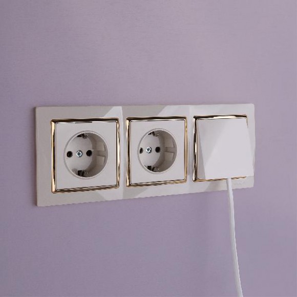 Розетка Встраиваемые механизмы слоновая кость WL03-SKGS-01-IP44-ivory