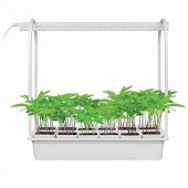 Настольная лампа для растений ULT-P34-10W/SPLE IP40 WHITE 12 Настольная лампа для растений ULT-P34-10W/SPLE IP40 WHITE 12