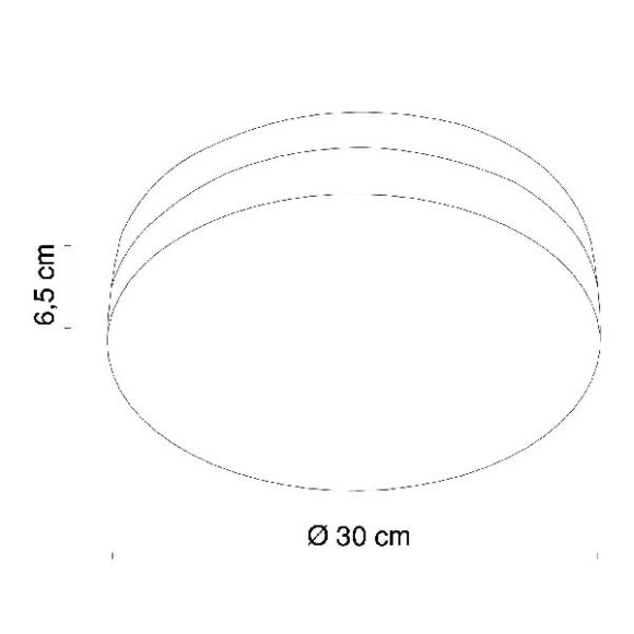 Потолочный светильник Opal 48403