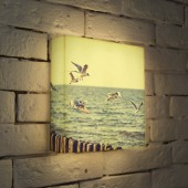 Лайтбокс Чайки 25-25-d-106