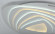 Потолочный светильник Ledolution 2288-5C