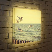 Лайтбокс Чайки 45-45-d-106