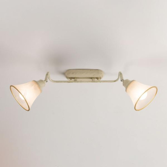 Спот Прованс CL511524