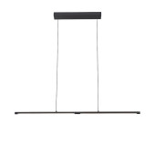 Подвесной светильник Ralio SL1580.403.01