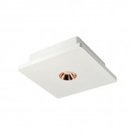 Точечный светильник Architect OL1072-WG/1