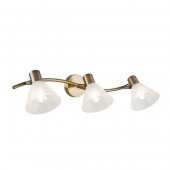 Спот Paola FR7001WL-03BZ