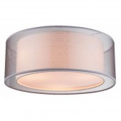 Потолочный светильник Theo 15190D