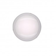 Настенно-потолочный светильник 917 CL917081 Настенно-потолочный светильник 917 CL917081