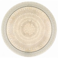 Потолочный светильник Led 10273/S LED Потолочный светильник Led 10273/S LED
