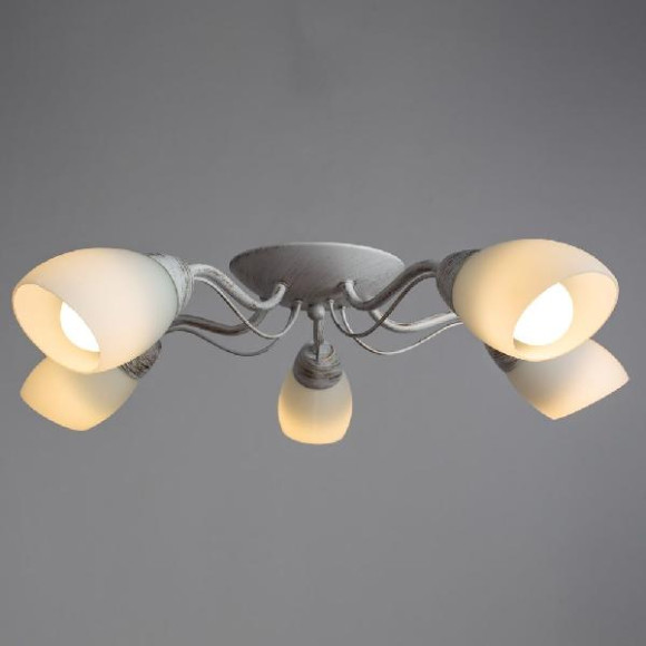 Потолочная люстра Carlo A8105PL-5WG