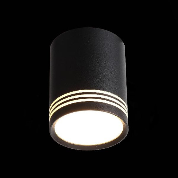 Точечный светильник Cerione ST101.442.12