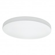 Потолочный светильник Arco 225202