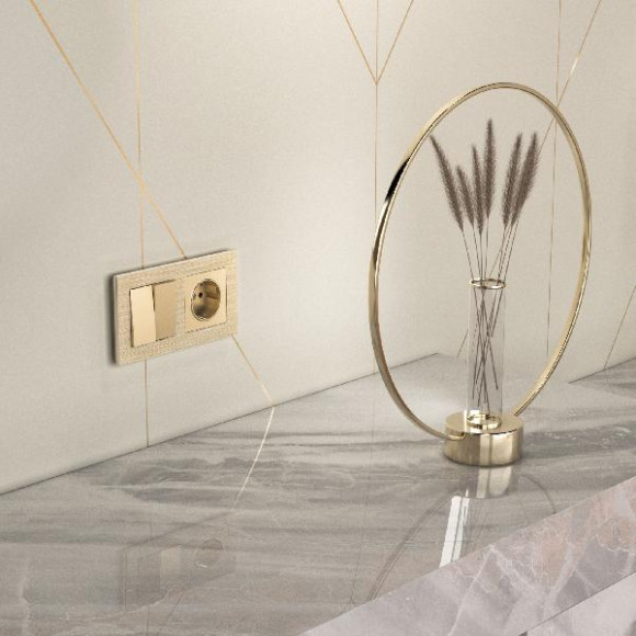 Выключатель Встраиваемые механизмы шампань WL11-SW-2G