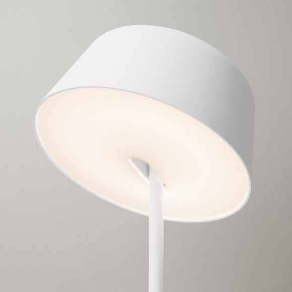 Интерьерная настольная лампа Apollo 80424/1 белый